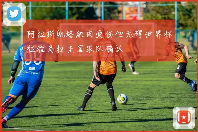 阿拉斯凯塔肌肉受伤但无碍世界杯征程乌拉圭国家队确认
