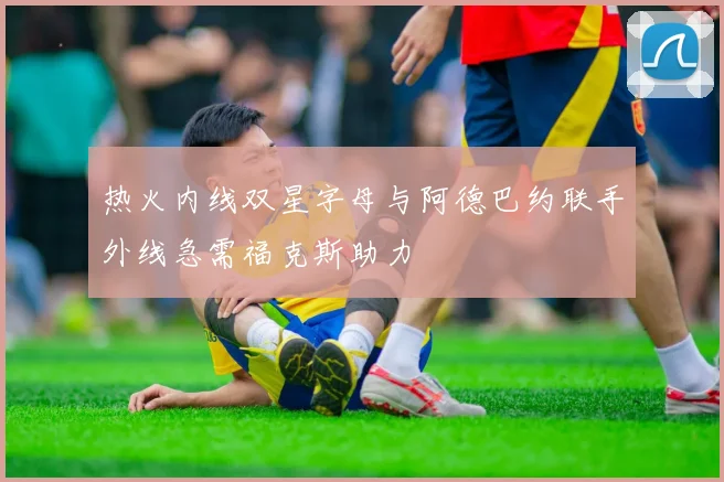 热火内线双星字母与阿德巴约联手外线急需福克斯助力