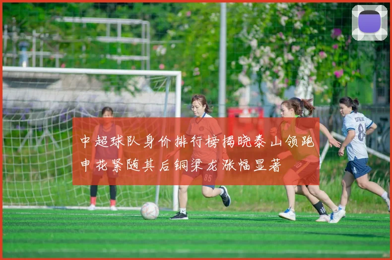 中超球队身价排行榜揭晓泰山领跑申花紧随其后铜梁龙涨幅显著