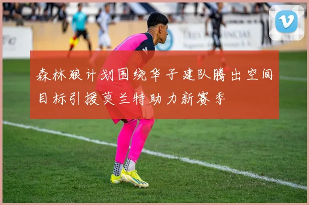 森林狼计划围绕华子建队腾出空间目标引援莫兰特助力新赛季